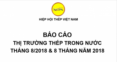 Tình hình thị trường thép Việt Nam tháng 8/2018 và 8 tháng năm 2018