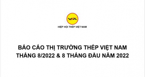 Tình hình thị trường thép Việt Nam tháng 8/2022 và 8 tháng đầu năm 2022