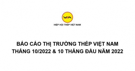 Tình hình thị trường thép Việt Nam tháng 10/2022 và 10 tháng đầu năm 2022