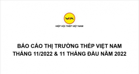 Tình hình thị trường thép Việt Nam tháng 11/2022 và 11 tháng đầu năm 2022