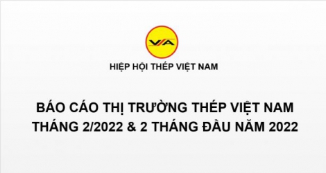 Tình hình thị trường thép Việt Nam tháng 2/2022 và 2 tháng đầu năm 2022