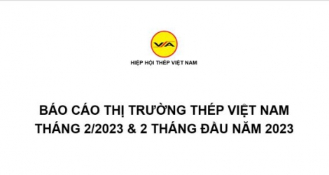 Tình hình thị trường thép Việt Nam tháng 2/2023 và 2 tháng đầu năm 2023