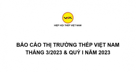 Tình hình thị trường thép Việt Nam tháng 3/2023 và Quý I năm 2023