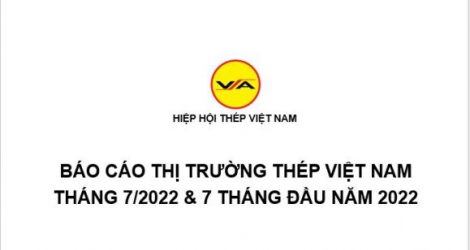 Tình hình thị trường thép Việt Nam tháng 7/2022 và 7 tháng đầu năm 2022